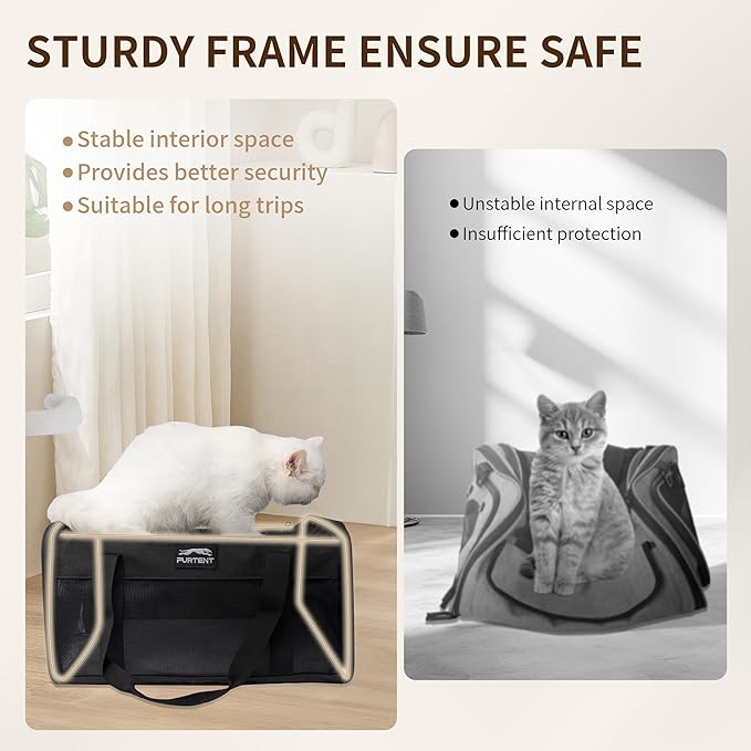 TSA Approved Pet Carrier for Small Cats and Puppies, Soft-Sided and Foldable - Image 6