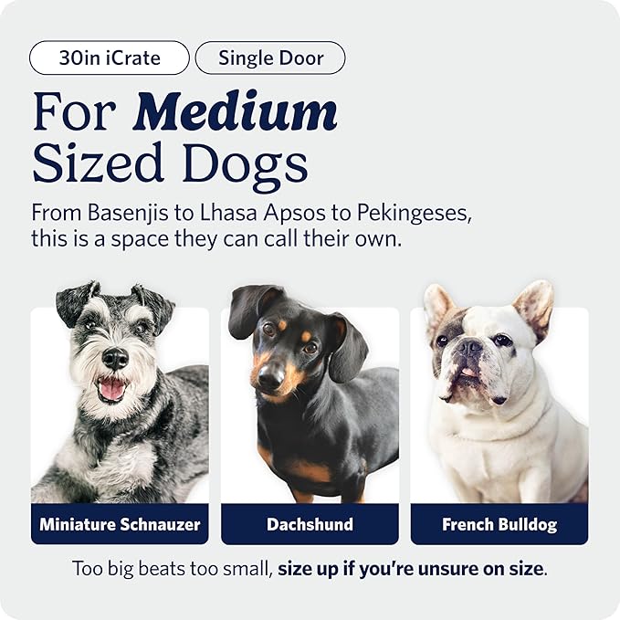 MidWest Homes for Pets 30-Inch iCrate for Medium Breeds, 21-40 lbs, Single Door - Image 2