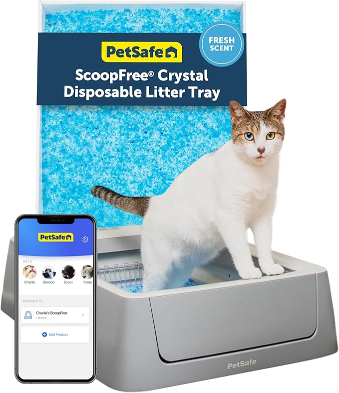 PetSafe ScoopFree Complete Smart Self-Cleaning Cat Litter Box by PetSafe