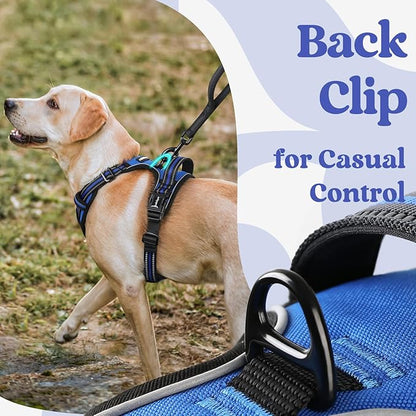rabbitgoo Dog Harness Small Sized, No Pull Easy On & Off - Image 6