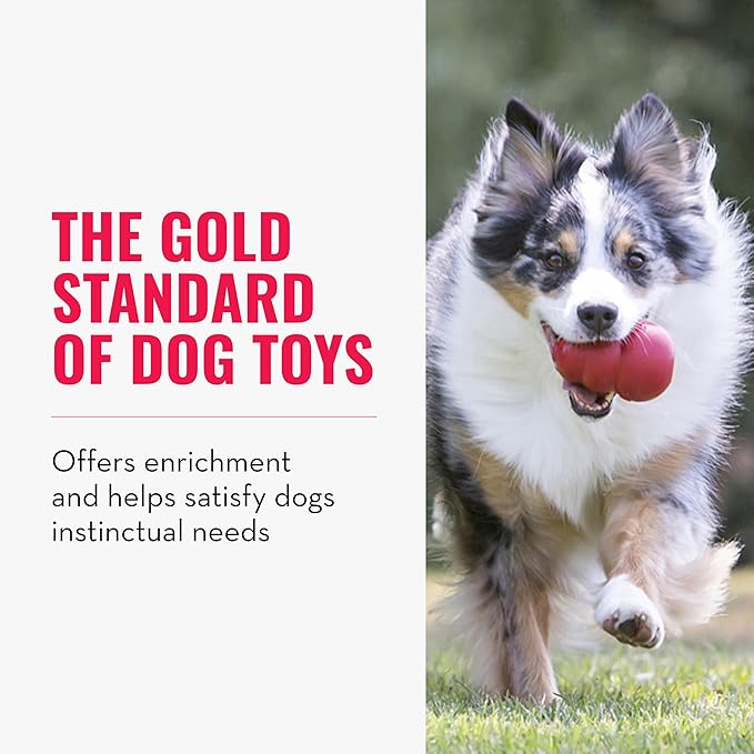 KONG Classic Stuffable Dog Toy - Image 3