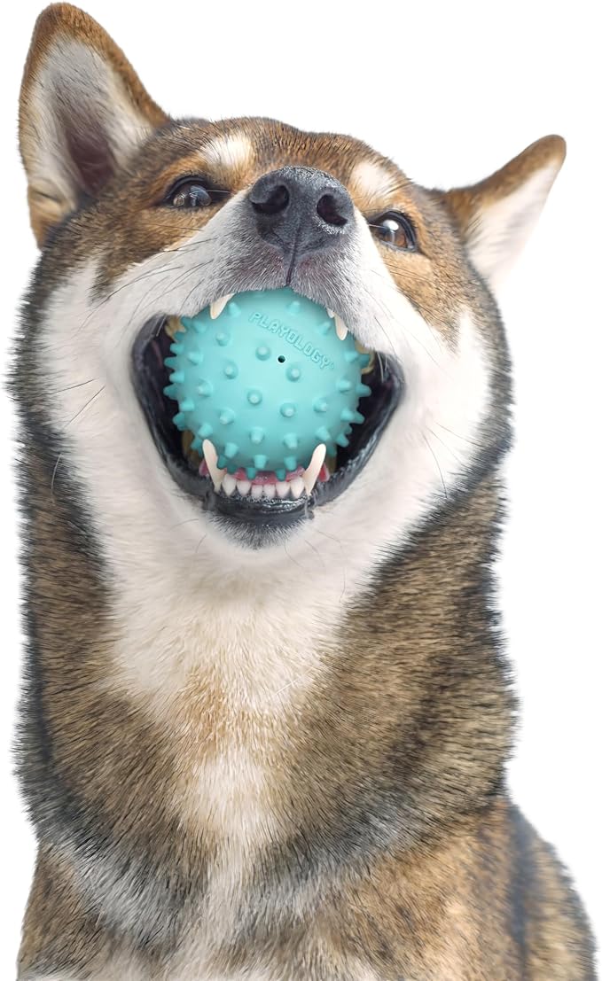 Playology Dog Toys | Squeaky Spiky Chew Ball - Image 3