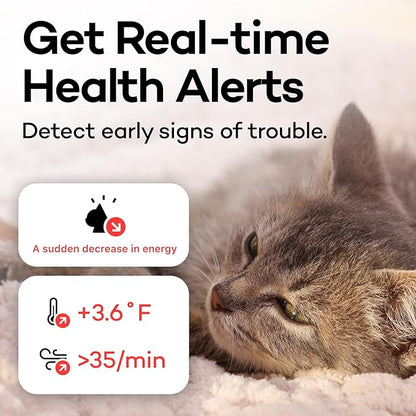 Health Tracker for Cats - Image 3