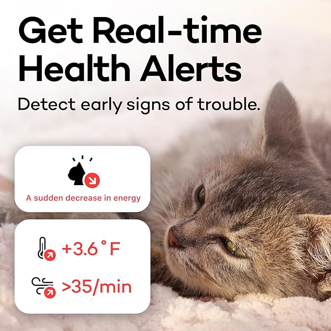 Health Tracker for Cats - Image 3