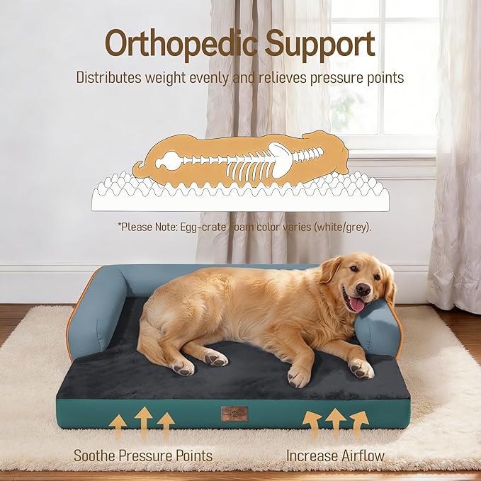 Comfort Expression Memory Foam Dog Bed Large Sized Dogs - Image 2