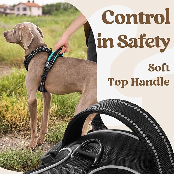 rabbitgoo Dog Harness for Large, No Pull Easy On & Off - Image 4