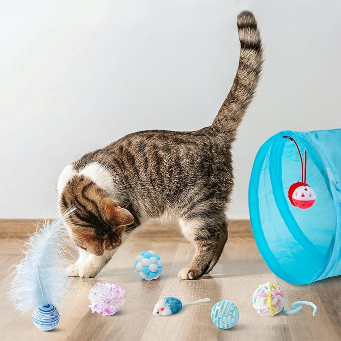 MALLMALL6 Cat Toy Set Interactive Cat Toys 11Pcs Pack - Image 6