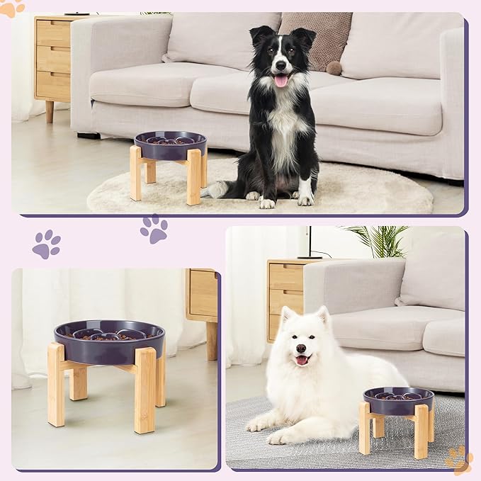 Elevated Slow Feeder Dog Bowl Large Breed, 8.8 Inch Ceramic Slow Eating Bowl - Image 6