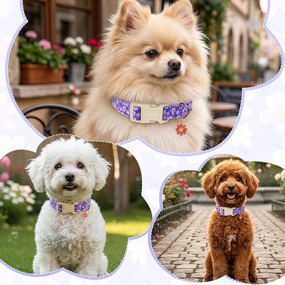 Floral Dog Collar, Spring Summer Cute Purple Flower Pet Collar - Image 6