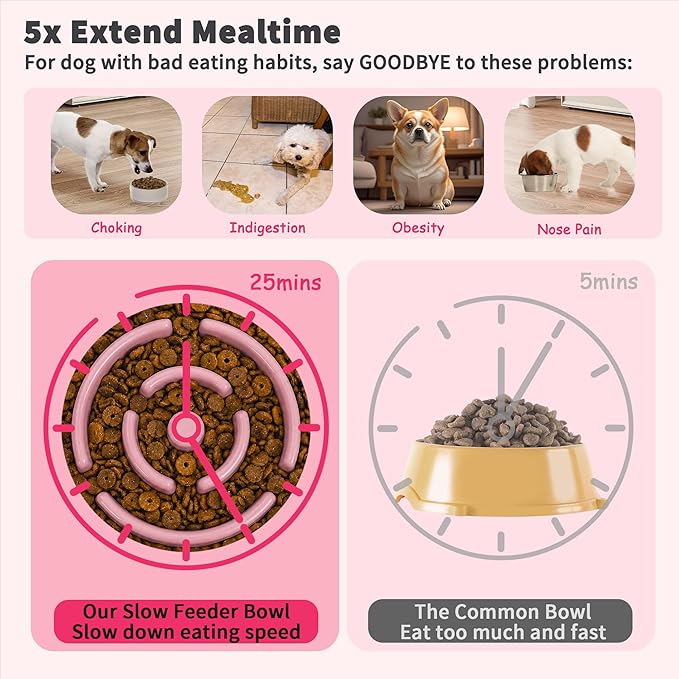 Elevated Slow Feeder Dog Bowl - Image 3