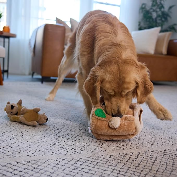 Outward Hound Hide-A-Squirrel Dog Toy – Interactive 2‑in‑1 Plush Puzzle - Image 7