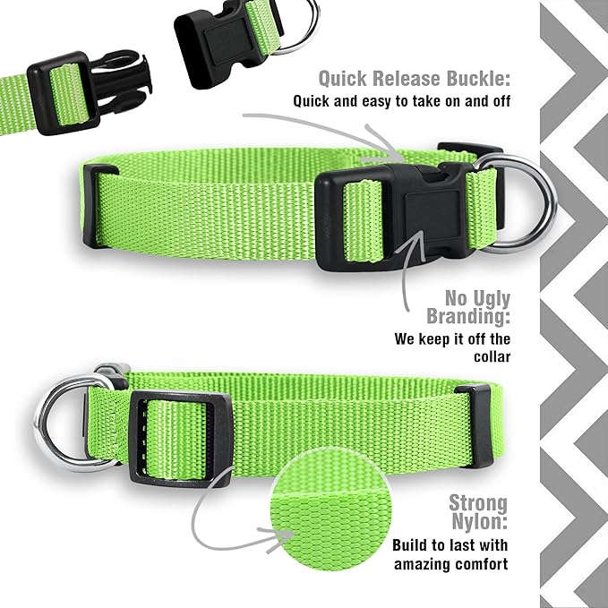 Native Pup Basic Nylon Dog Collar, Adjustable - Image 4
