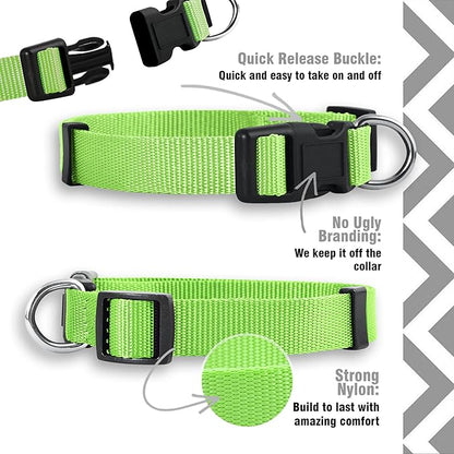 Native Pup Basic Nylon Dog Collar, Adjustable - Image 4
