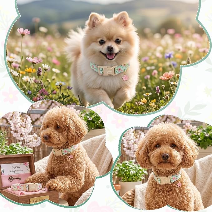 Dog Collar with Pink Floral Patterns, Spring Summer Collection Green Dog Collar - Image 5