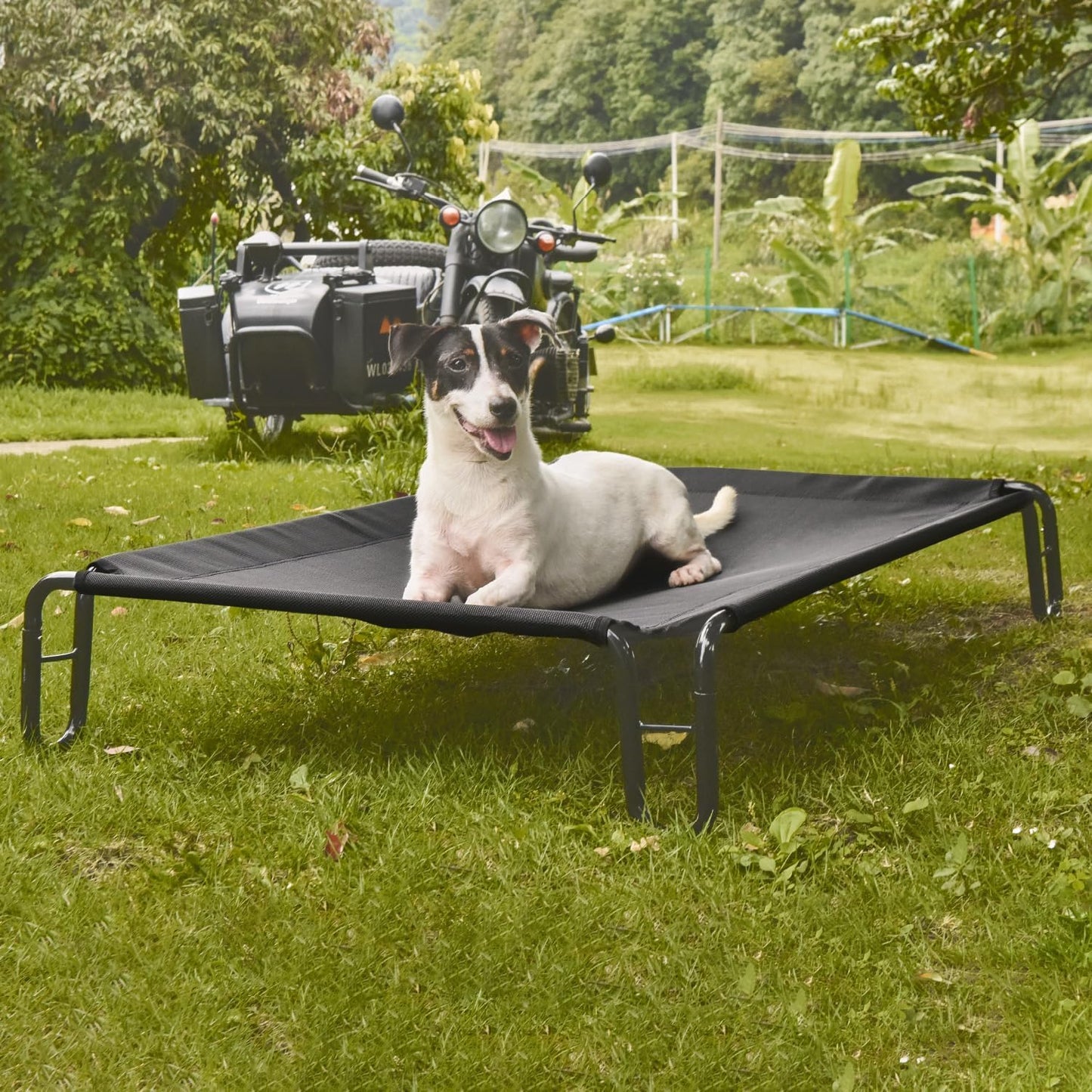 pettycare Elevated Dog Bed Cot, Raised for Large Dogs, No Screws, Stable Frame & Durable Supportive Teslin Recyclable Mesh, Breathable, Indoor &Outdoor Pet Beds, Fits up to 35 lbs, 28x22x8 ''es