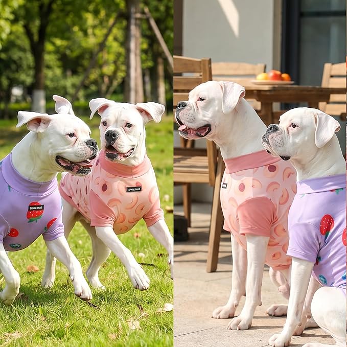 Spark Paws Sunblock Dog T-Shirt, SPF30 Protection, Lightweight Breathable Quick - Image 6