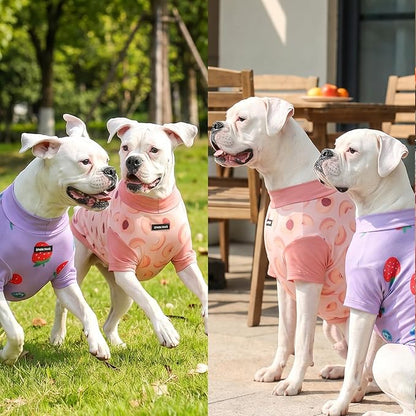 Spark Paws Sunblock Dog T-Shirt, SPF30 Protection, Lightweight Breathable Quick - Image 6