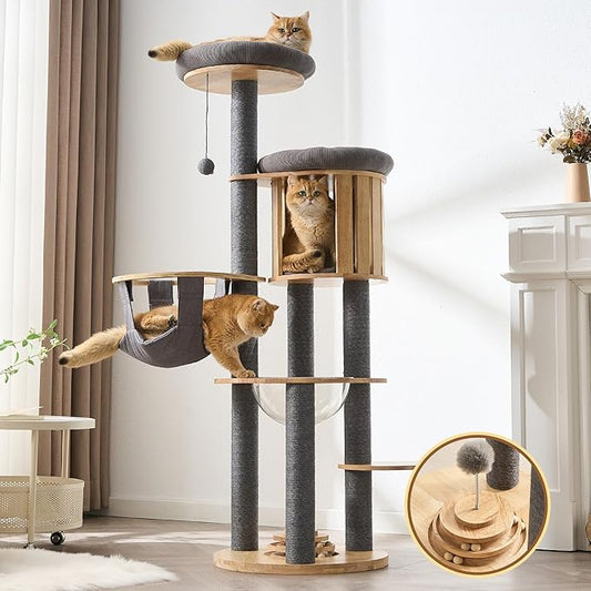 Modern Cat Tree Tower with Scratching Post, 61.5in Tall Cat Tree by Kicari