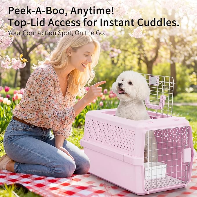 RIZZARI Medium Cat Carrier for Cats & Small Dogs: Durable Hard-Sided Pet Carrier - Image 6