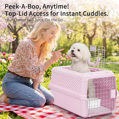 RIZZARI Medium Cat Carrier for Cats & Small Dogs: Durable Hard-Sided Pet Carrier - Image 6