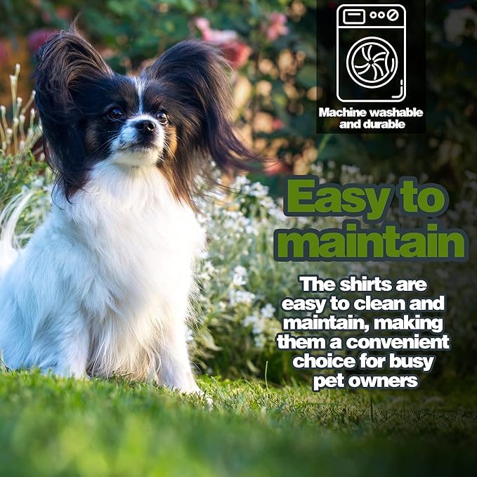 Elevate Your Dog's Fashion Quotient - Image 3