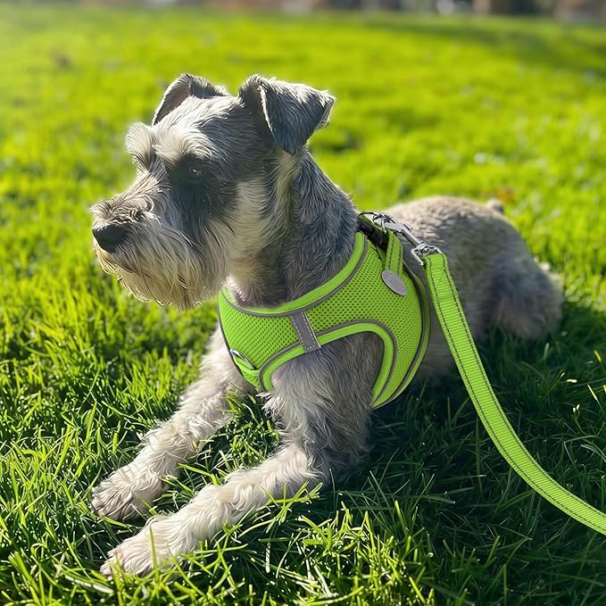 Joytale Small Dog Harness, Breathable Mesh Step-in Vest, Reflective Soft Padded - Image 2