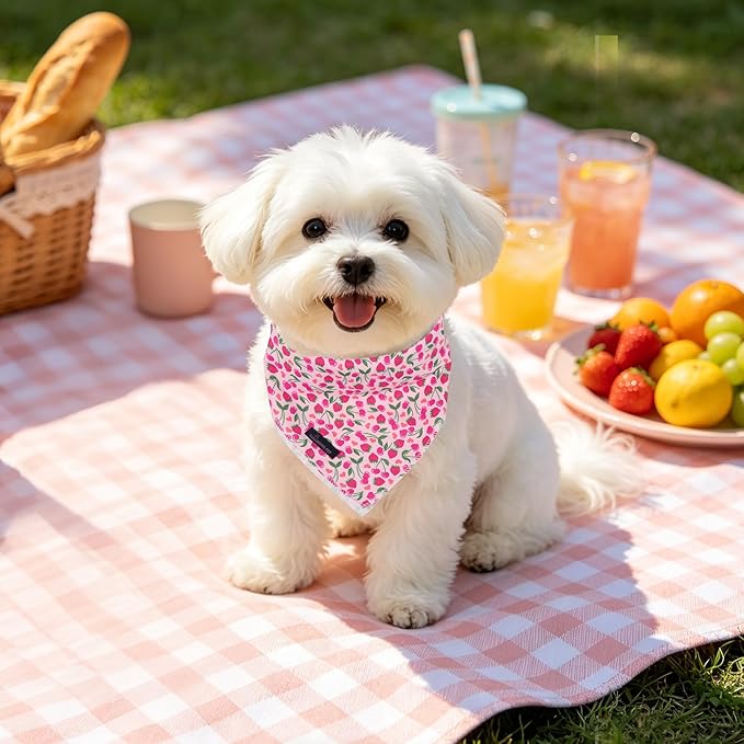 ARING PET Girl Dog Bandanas, Cute Summer Strawbery Cherry Pet Bandana Scarf - Image 3