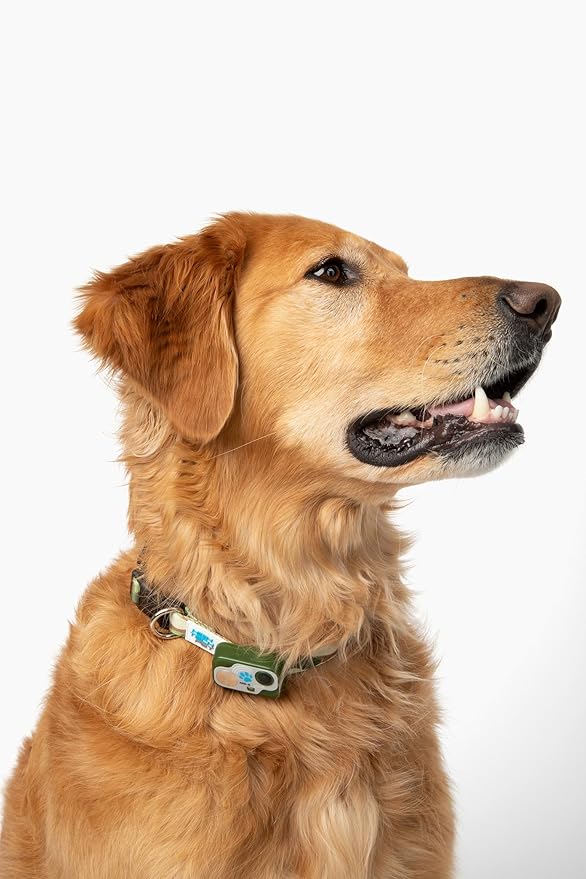Genuine MS-5® Designer Series Automatic Pet Door Collar Tested & Certified by - Image 3