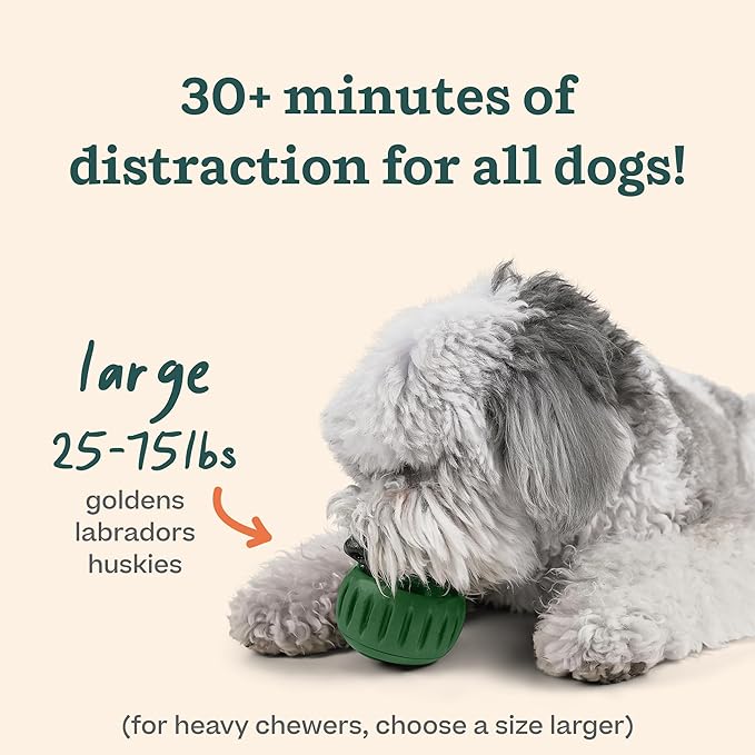 WOOF Starter Pack - Image 4