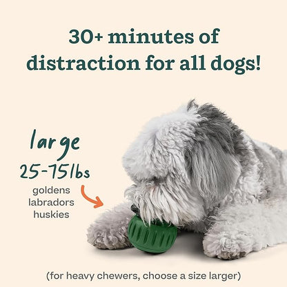 WOOF Starter Pack - Image 4