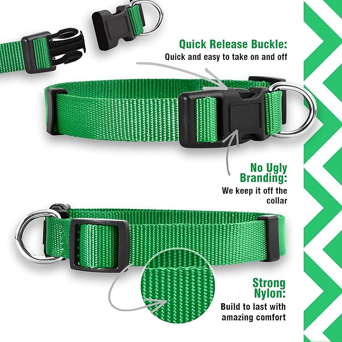 Native Pup Basic Nylon Dog Collar, Adjustable - Image 4
