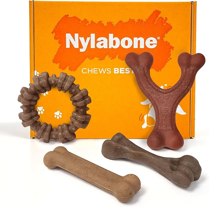 Nylabone Strong Chew Dog Toy 4-Pack Made by Nylabone