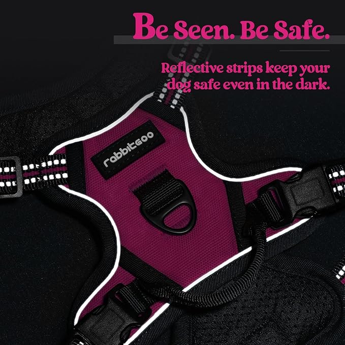 rabbitgoo Dog Harness No Pull - Image 7
