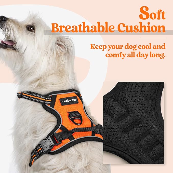 rabbitgoo Dog Harness No Pull - Image 2