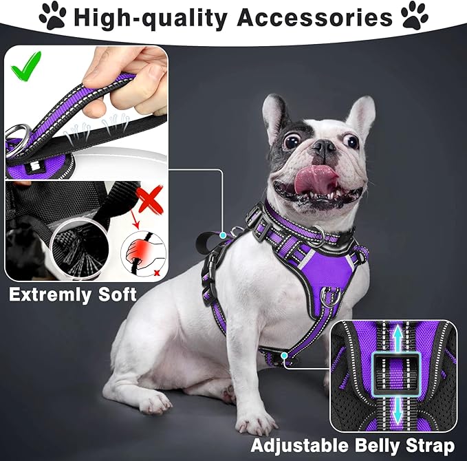 WINSEE Pet Harness Collar and Leash Set, All-in-one Reflective Dog Harness No - Image 2
