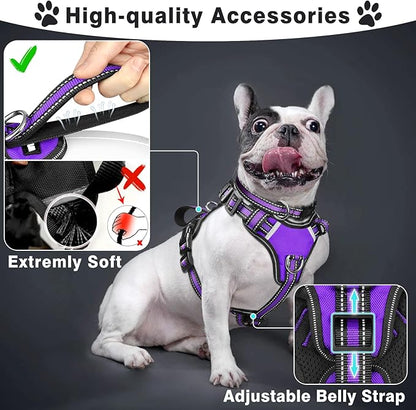 WINSEE Pet Harness Collar and Leash Set, All-in-one Reflective Dog Harness No - Image 2