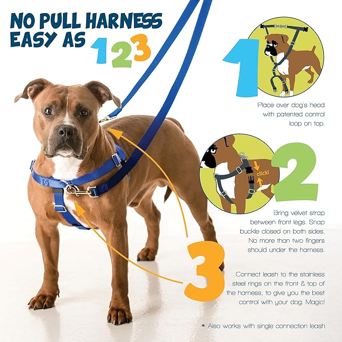 2 Hounds Design Freedom No Pull Dog Harness, Adjustable Harness, Easy Walking & - Image 3
