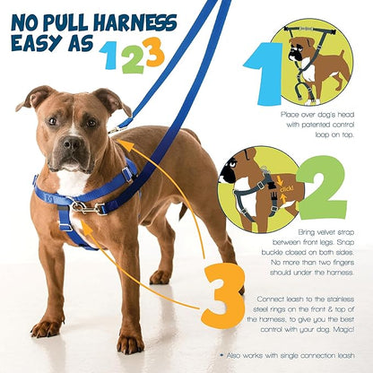 2 Hounds Design Freedom No Pull Dog Harness, Adjustable Harness, Easy Walking & - Image 3