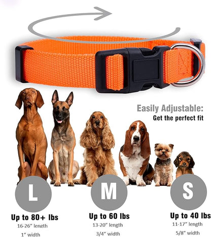 Native Pup Basic Nylon Dog Collar, Adjustable - Image 3