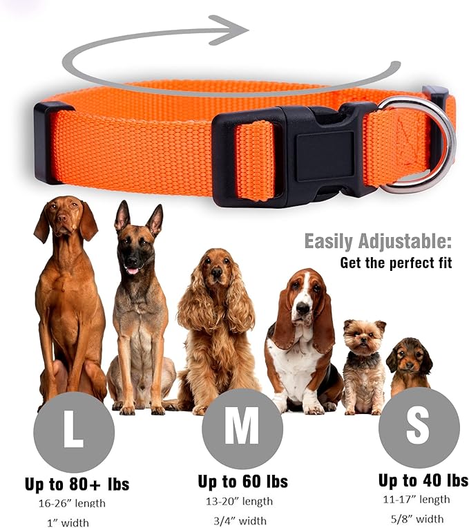 Native Pup Basic Nylon Dog Collar, Adjustable - Image 3