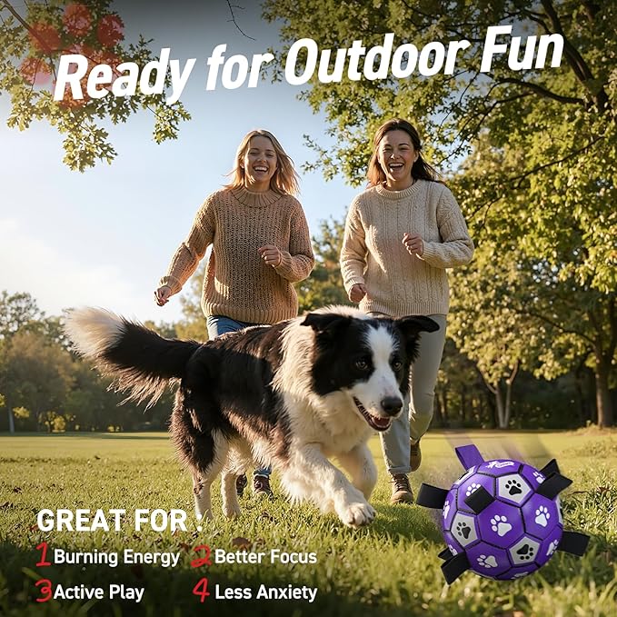 QDAN Soccer Ball for Dogs - Image 6