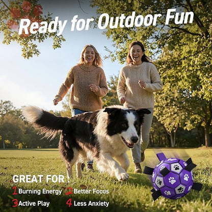 QDAN Dog Toys Soccer Ball with Straps - Image 2