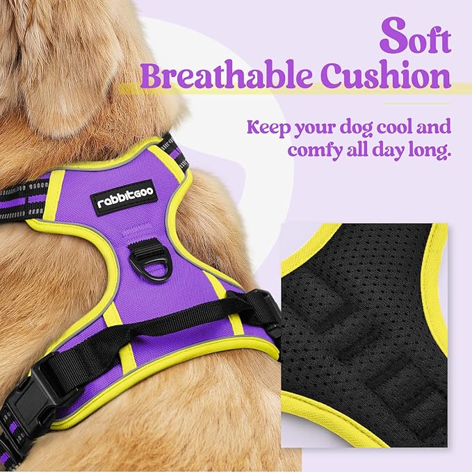 rabbitgoo Dog Harness No Pull - Image 2