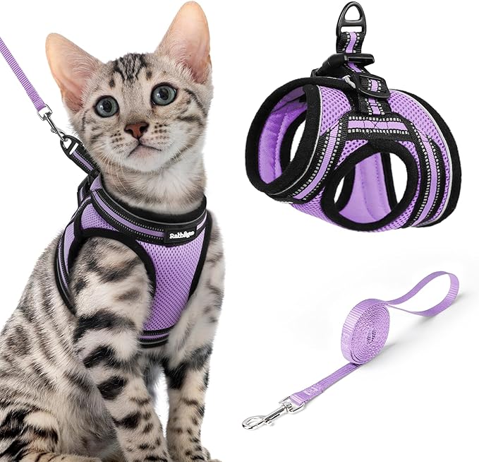 rabbitgoo Cat Harness and Leash, Step-in Escape Proof Kitten Harness Set by rabbitgoo