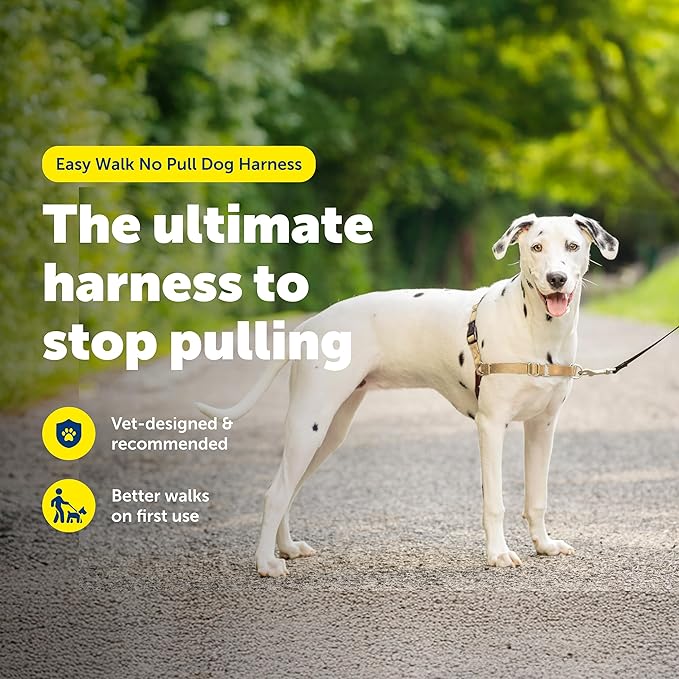 PetSafe Easy Walk No-Pull Dog Harness - Image 2
