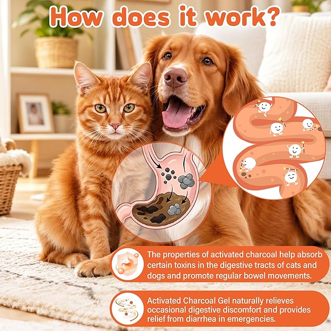 Activated Charcoal Paste for Dogs & Cats – 30 ml First Aid for Pet Poison - Image 5