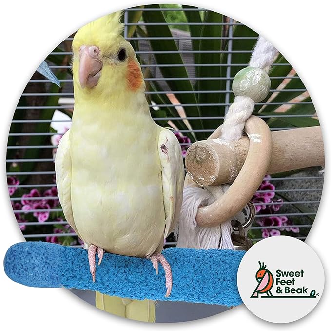 Sweet Feet and Beak Comfort Grip Safety Perch - Image 3
