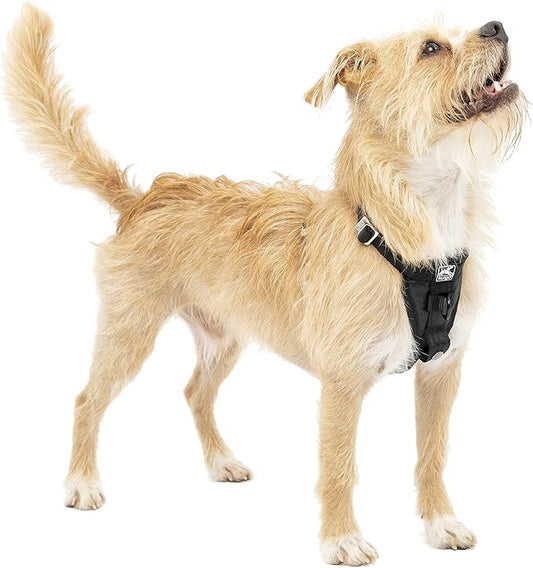 Kurgo Enhanced Strength Tru-Fit Dog Car Harness by Kurgo