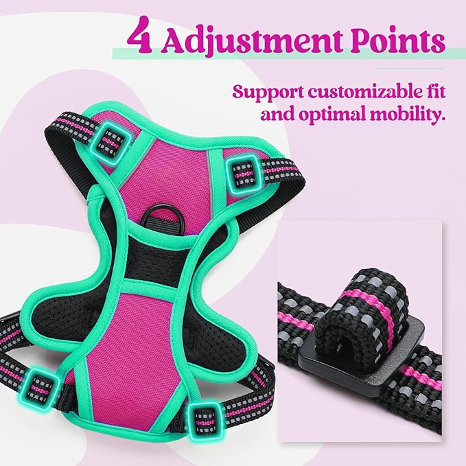 rabbitgoo Dog Harness No Pull - Image 4