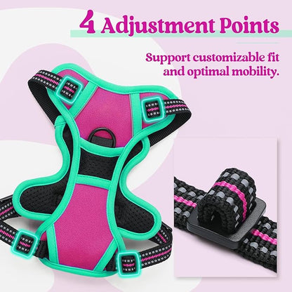 rabbitgoo Dog Harness No Pull - Image 4